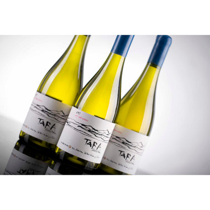 Vina Ventisquero Tara White 1 Atacama Chardonnay 2016